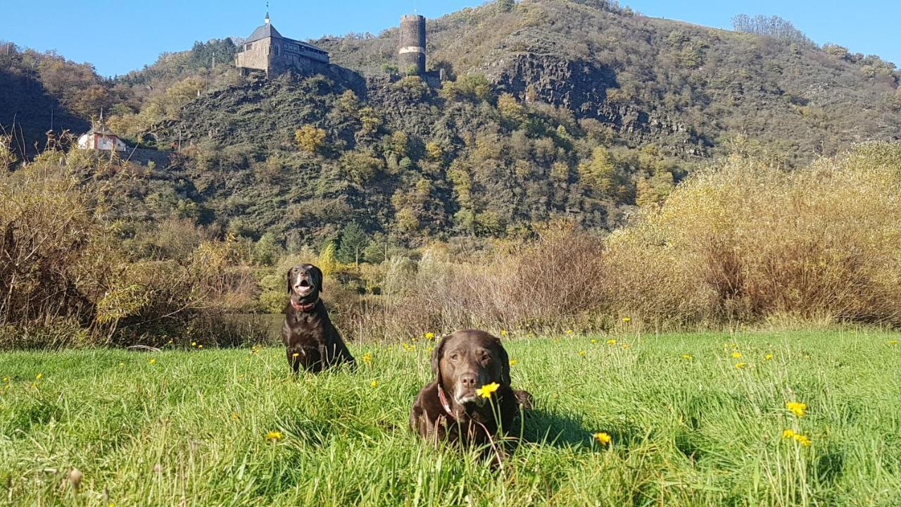 Ferienhaus Leopold Mit Burgblick An Der Mosel ブルゲン エクステリア 写真