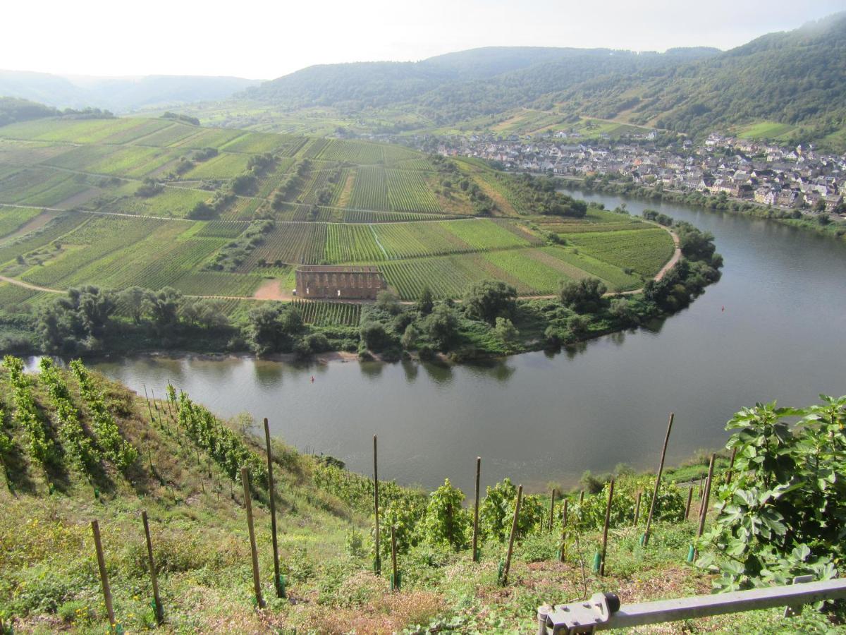 Ferienhaus Leopold Mit Burgblick An Der Mosel ブルゲン エクステリア 写真