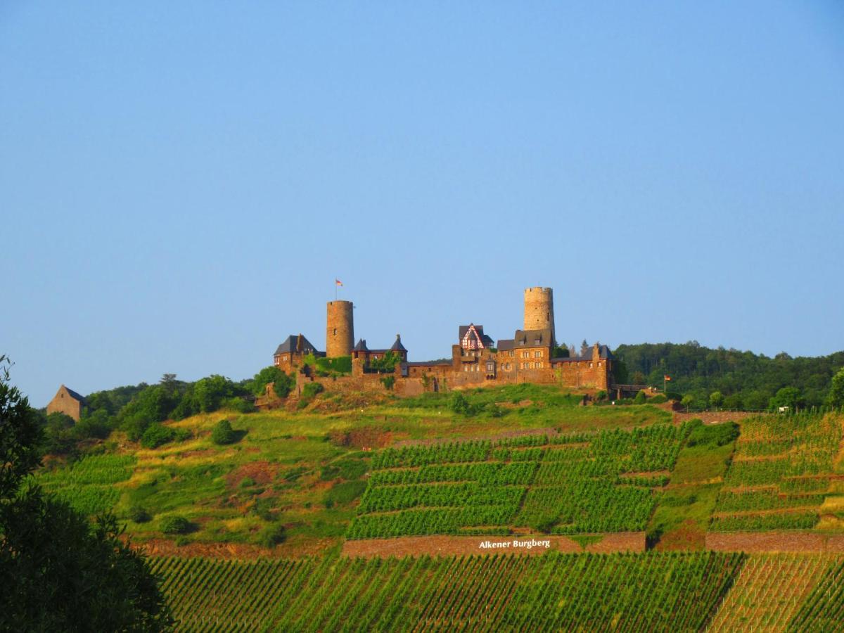 Ferienhaus Leopold Mit Burgblick An Der Mosel ブルゲン エクステリア 写真