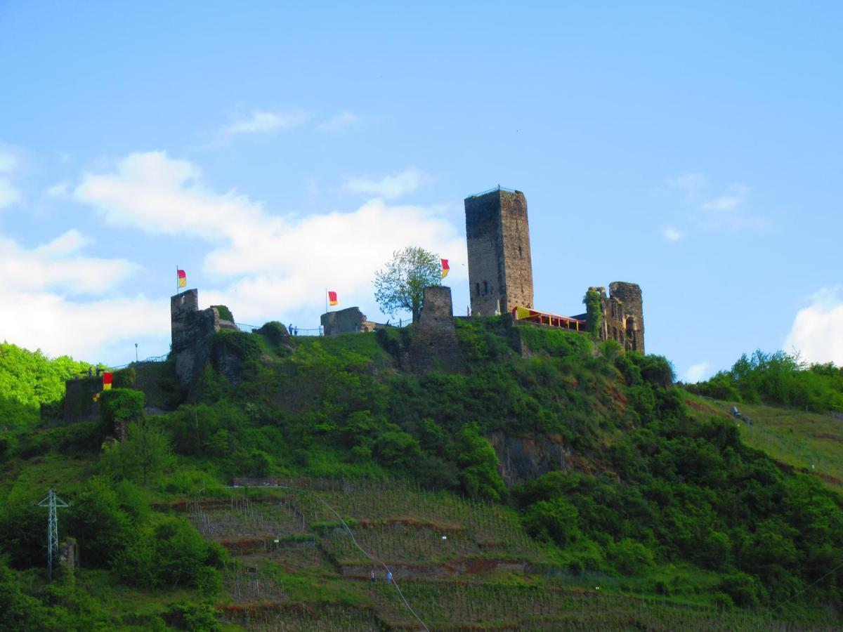 Ferienhaus Leopold Mit Burgblick An Der Mosel ブルゲン エクステリア 写真