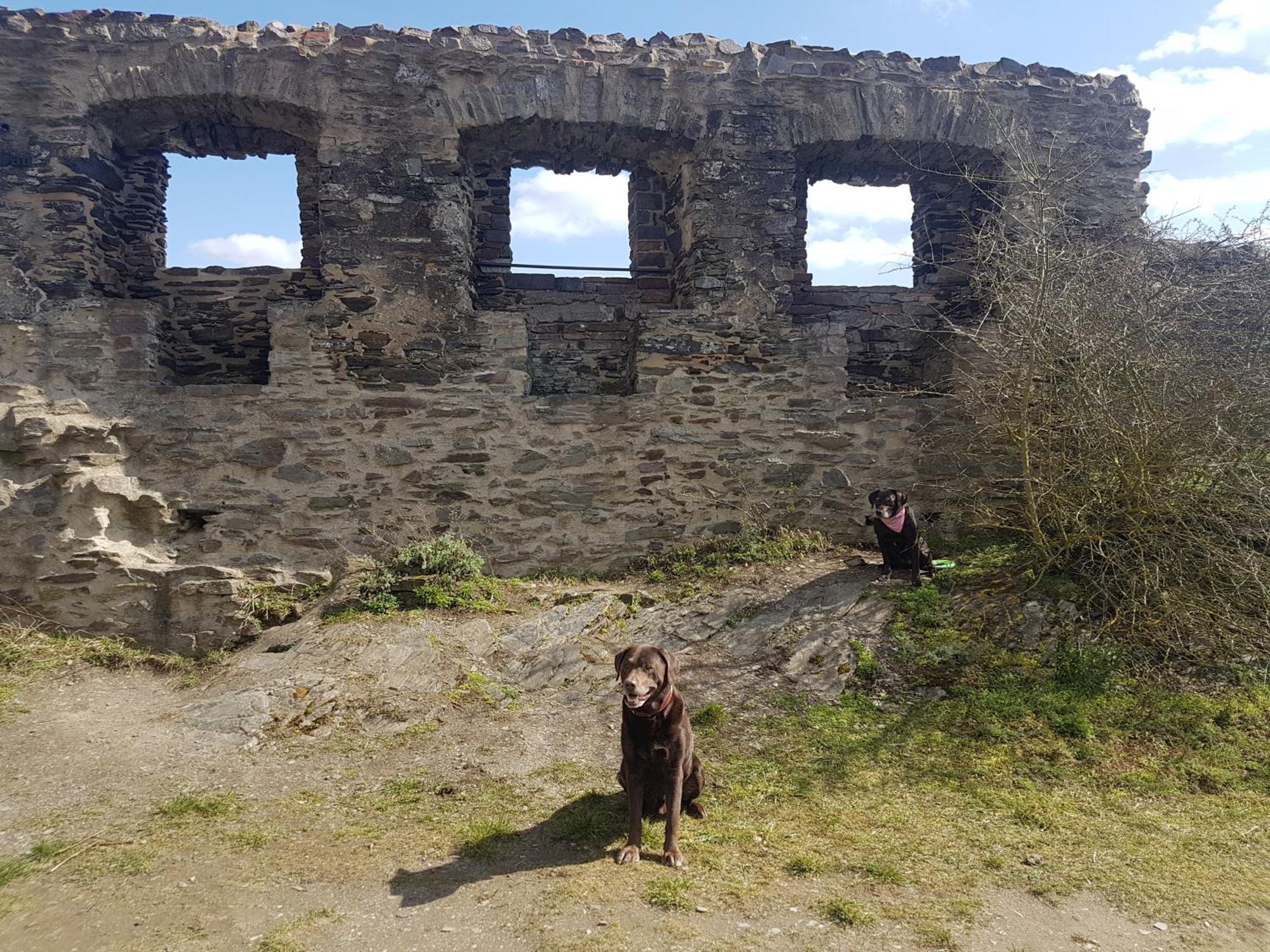Ferienhaus Leopold Mit Burgblick An Der Mosel ブルゲン エクステリア 写真