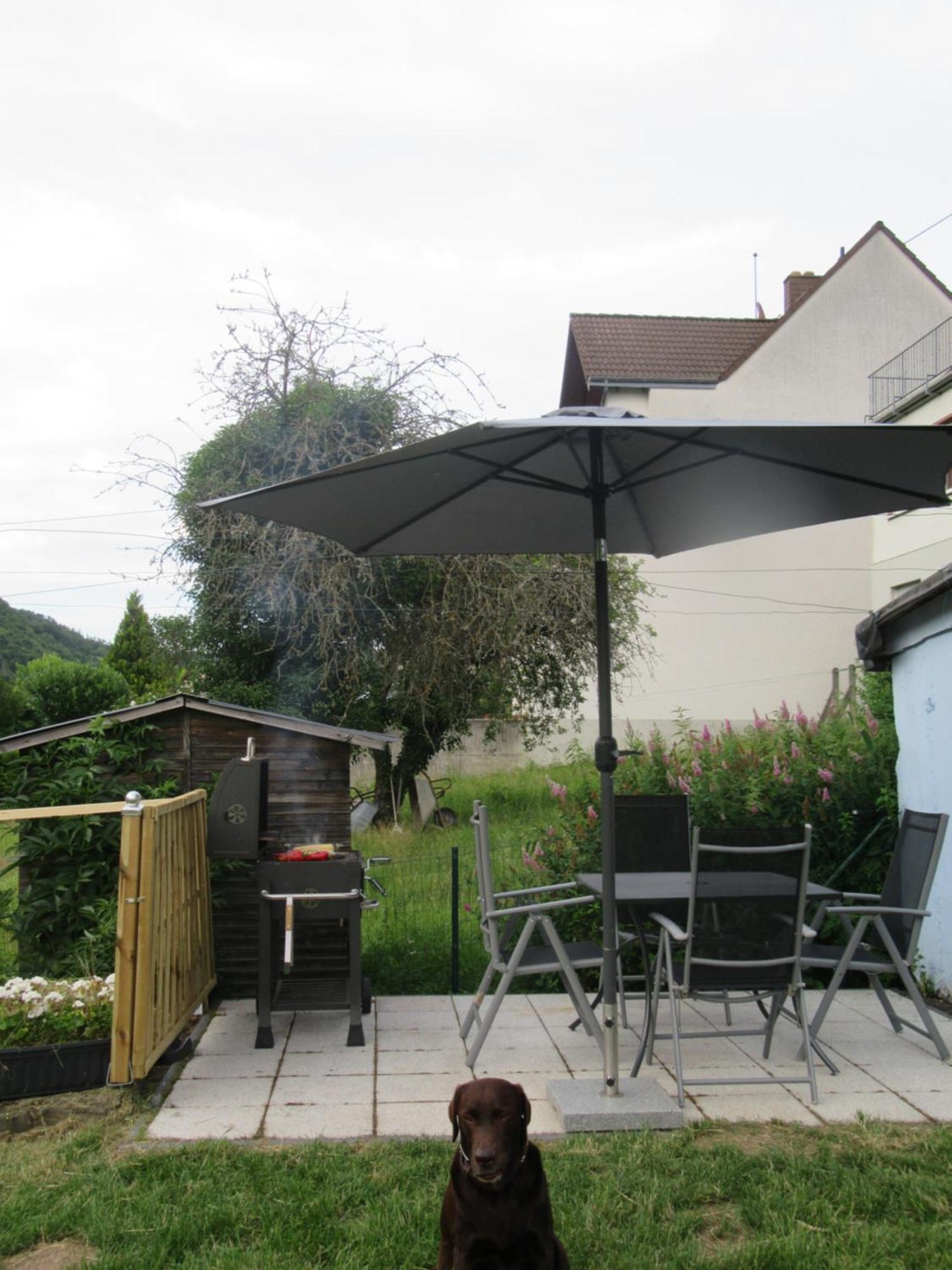 Ferienhaus Leopold Mit Burgblick An Der Mosel ブルゲン エクステリア 写真