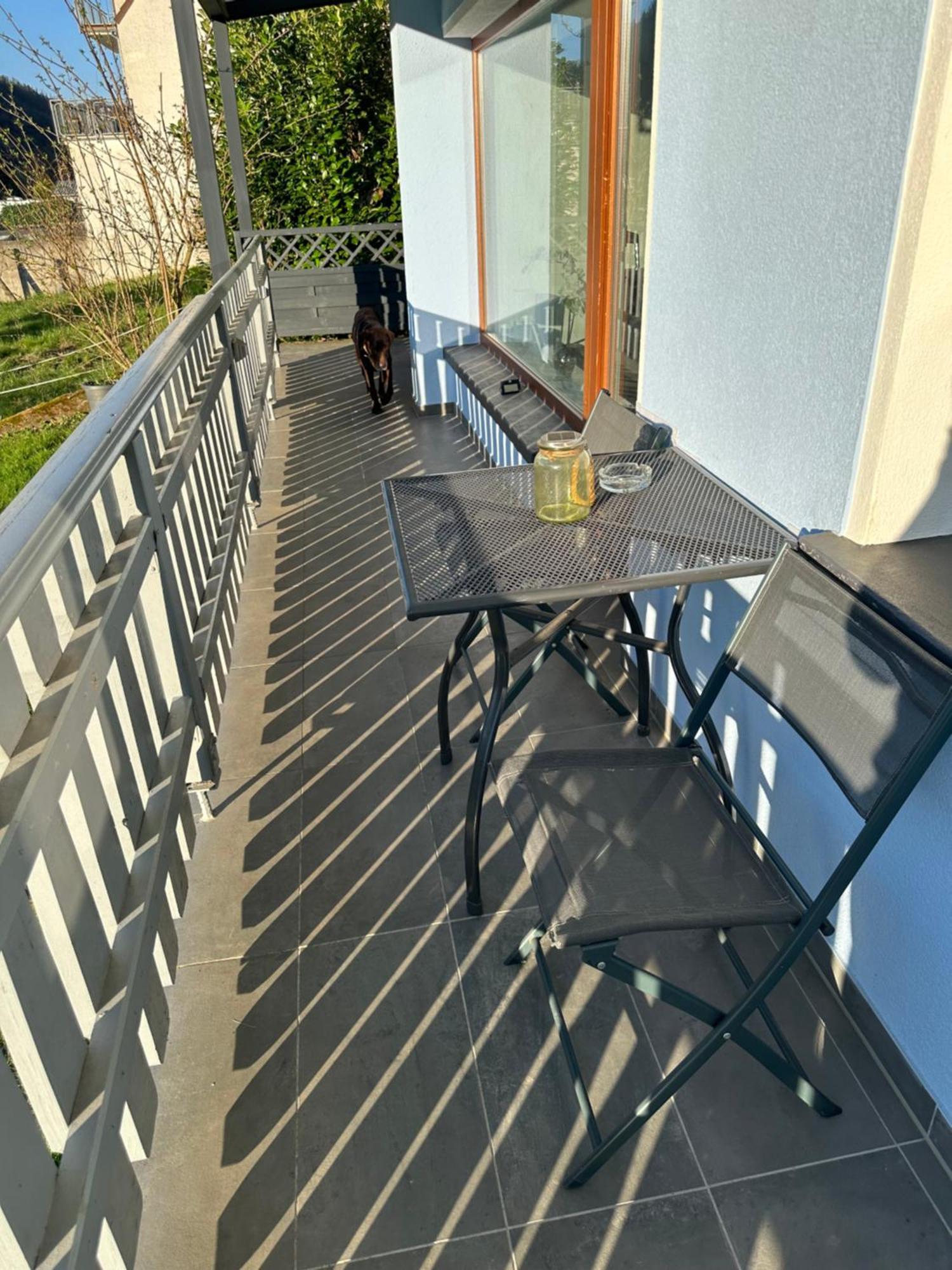 Ferienhaus Leopold Mit Burgblick An Der Mosel ブルゲン エクステリア 写真