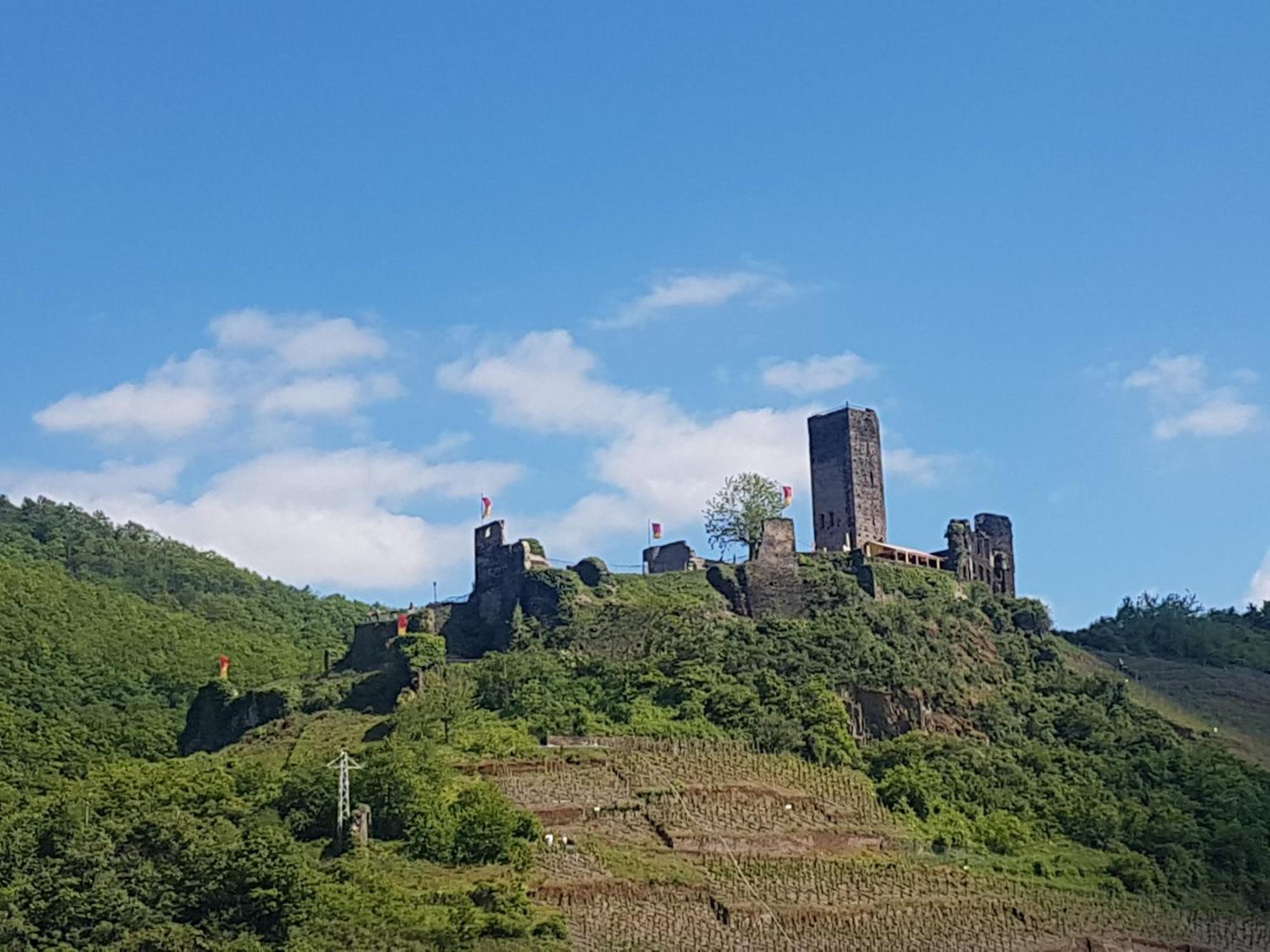 Ferienhaus Leopold Mit Burgblick An Der Mosel ブルゲン エクステリア 写真