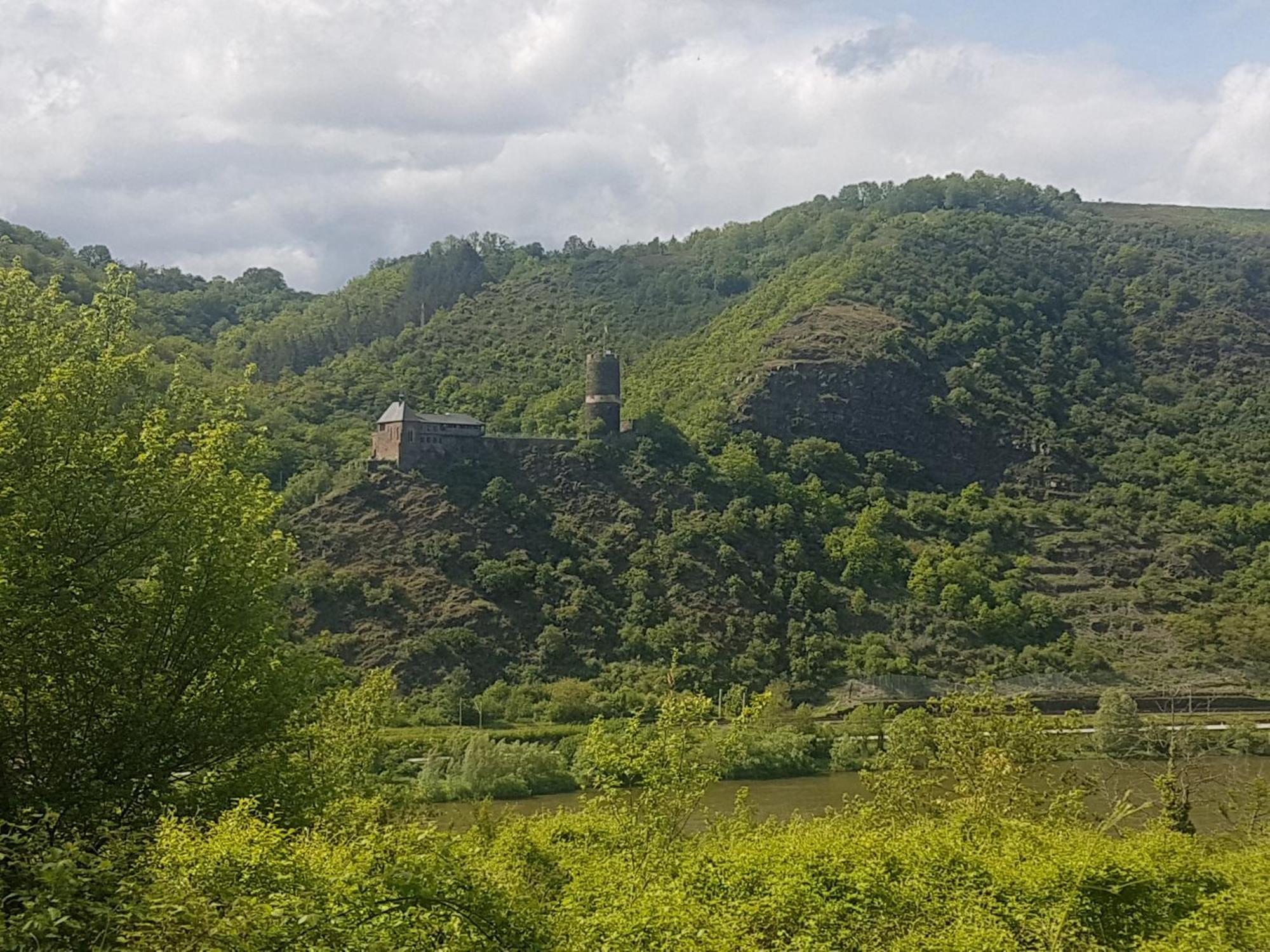 Ferienhaus Leopold Mit Burgblick An Der Mosel ブルゲン エクステリア 写真